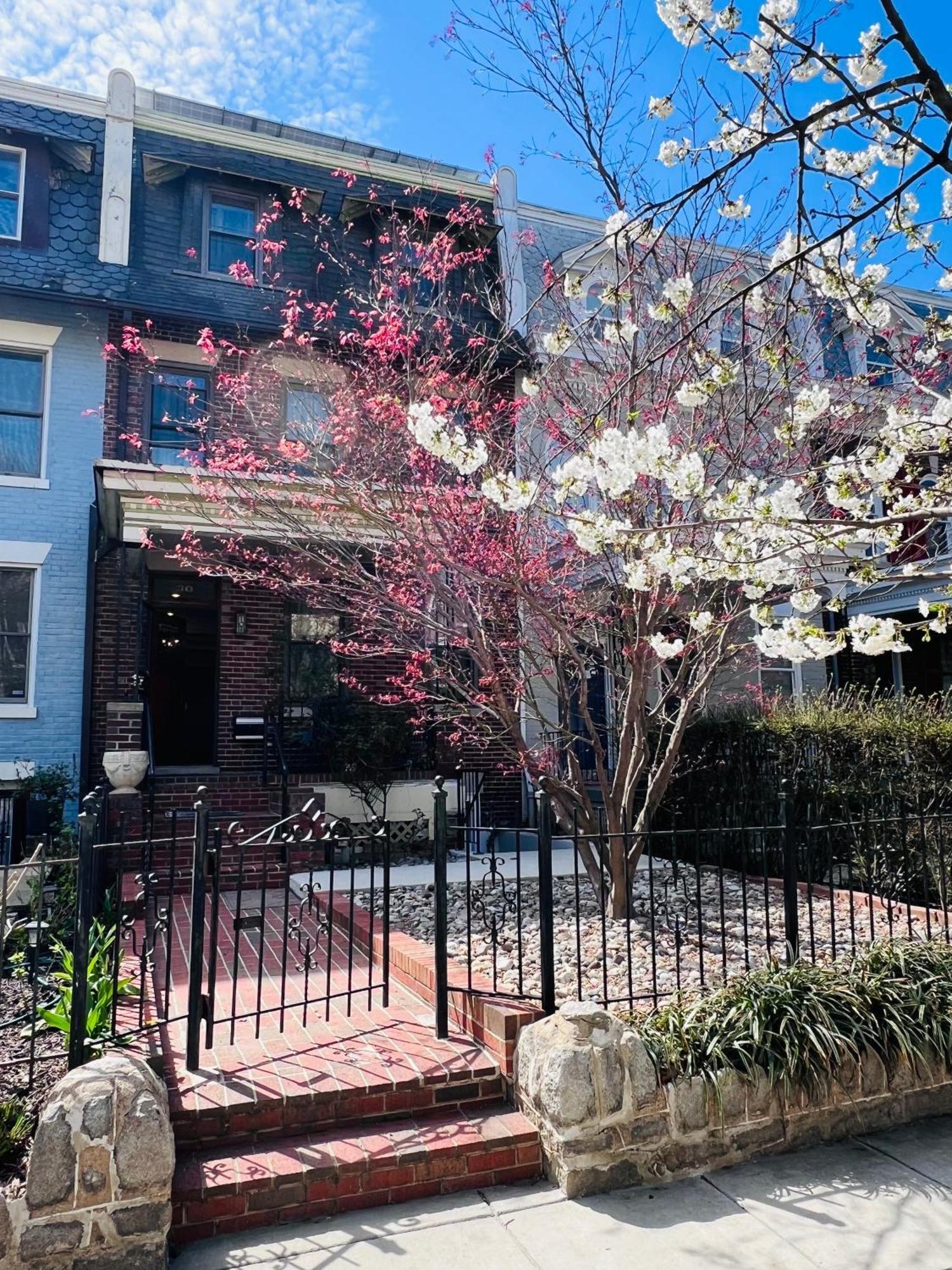 Amma'S Place Washington Bagian luar foto